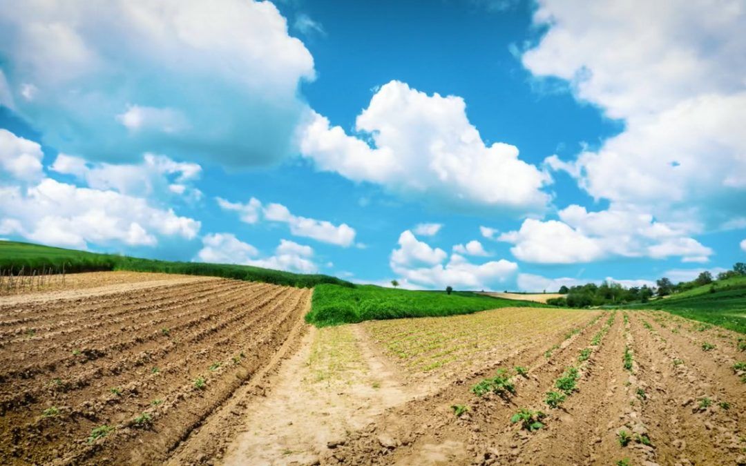 Bayer lanza su campaña Fruturistas una propuesta digital