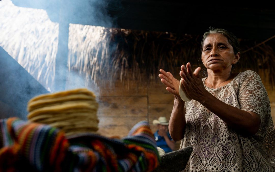 Empresa social guatemalteca, Semilla Nueva, es reconocida por Food Tank