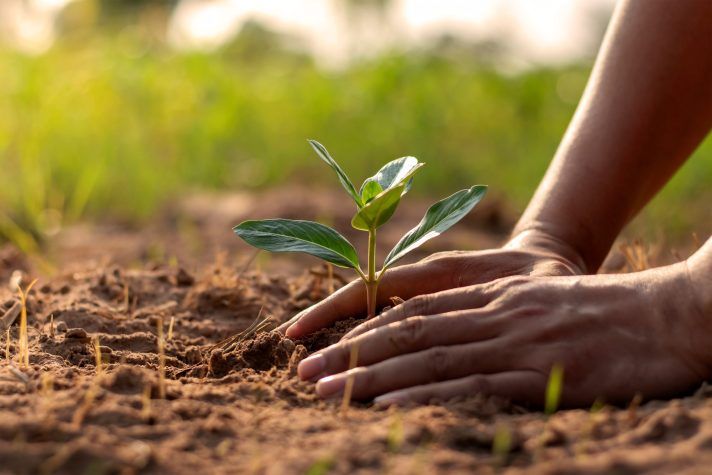 Nestlé reafirma su compromiso con el planeta