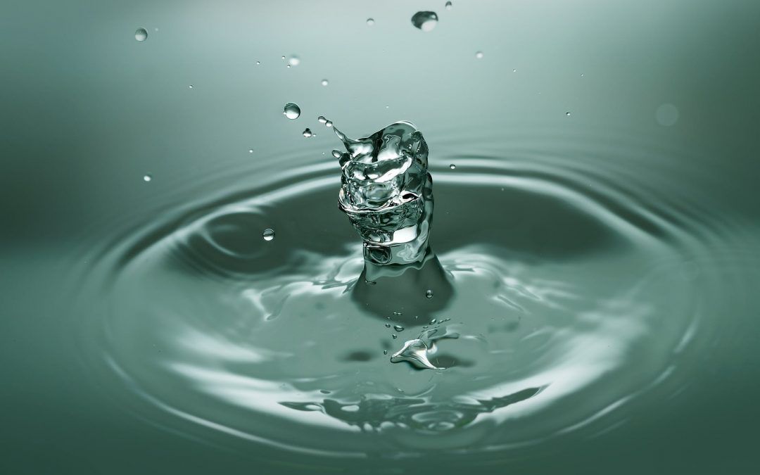 Cuidar el agua y no contaminarla es una gran responsabilidad