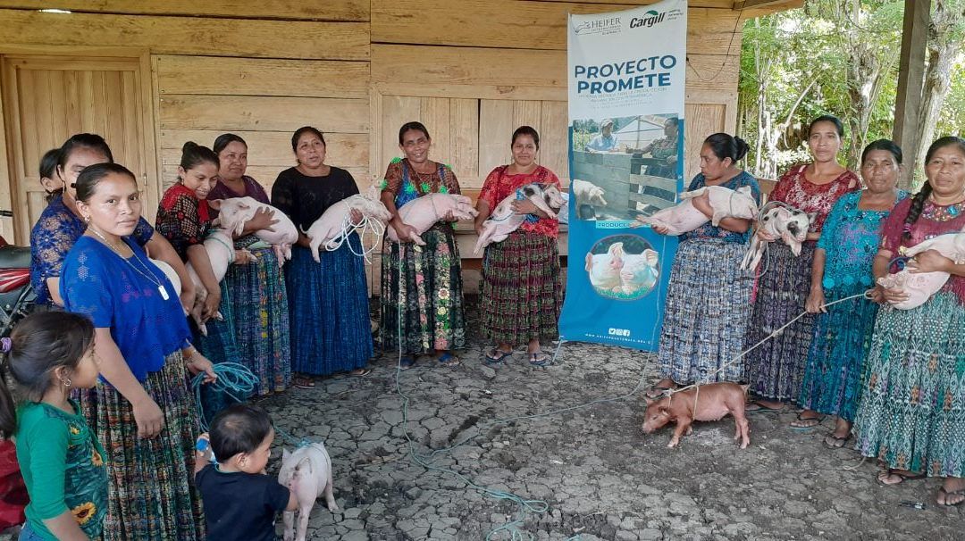 Proyecto PROMETE beneficia a 532 productores, que aumentan sus ingresos en 27%