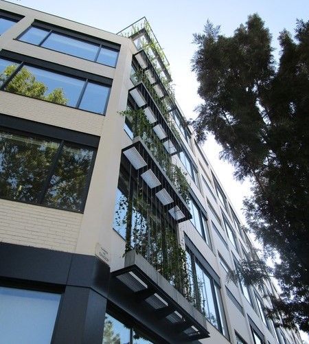 Conoce el concepto de sostenibilidad en la industria inmobiliaria