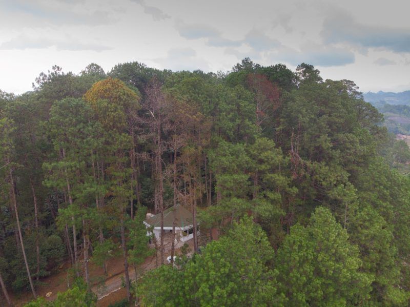 Hidroeléctrica Renace habilita la estación biológica dentro de su reserva natural privada