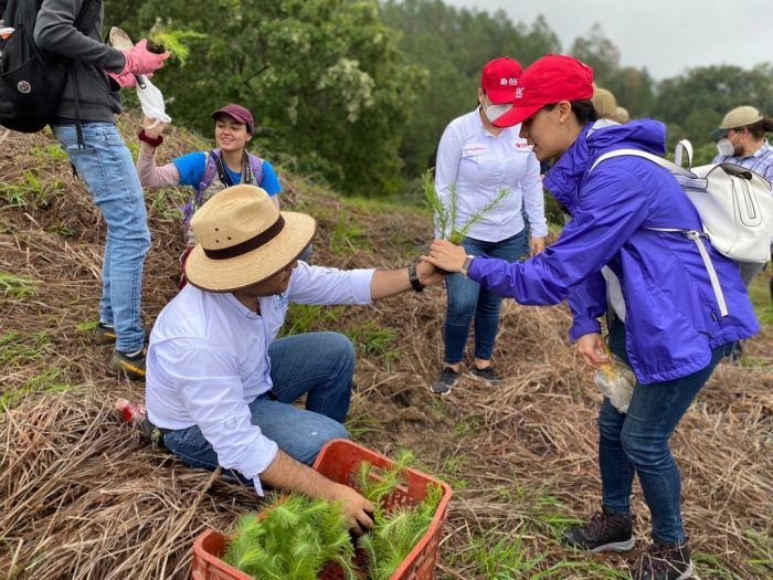 Plantatón 2022 nace para crear más conciencia ambiental