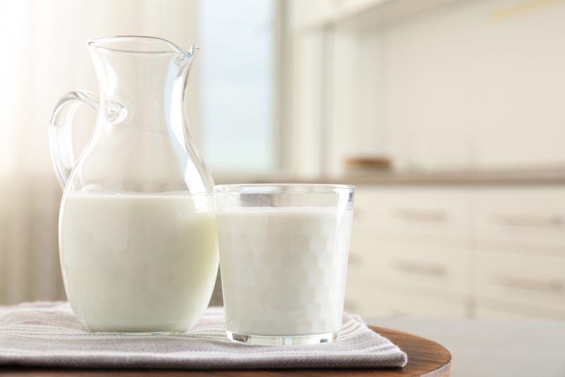 Se celebro el Día Mundial de La Leche