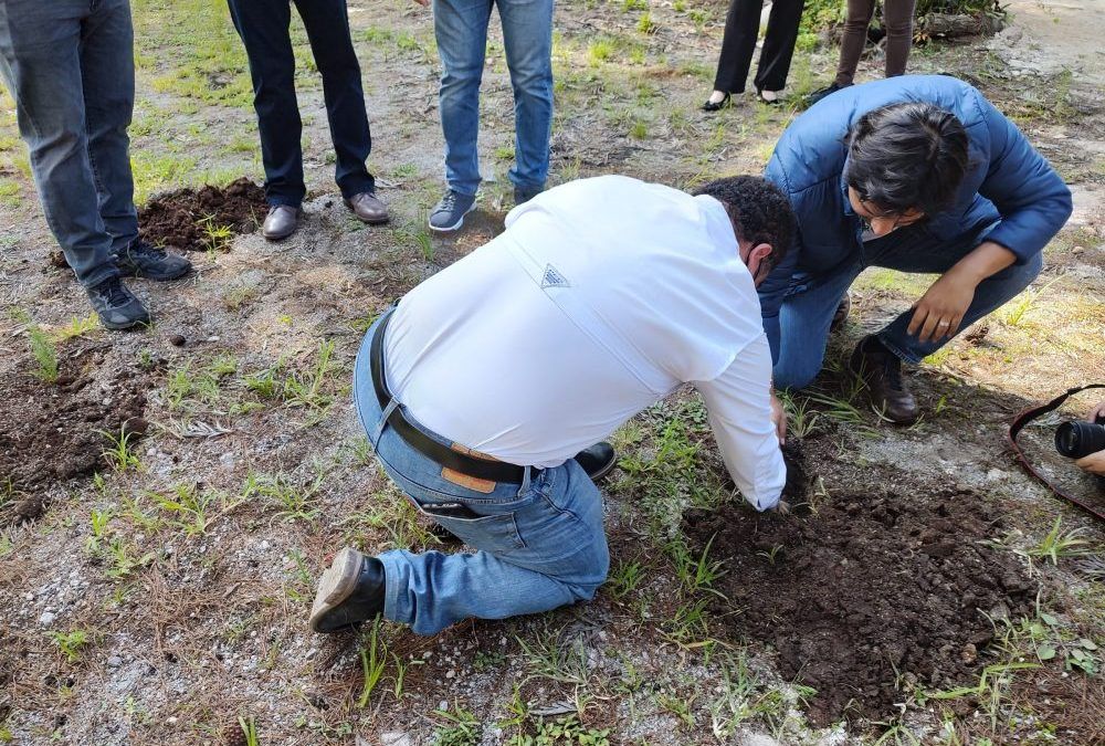 Cementos Progreso apoya el esfuerzo de reforestar y dona árboles al #RetoMARN