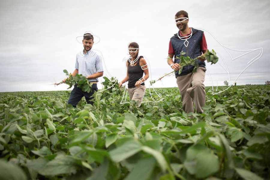 PRO agricultor en Guatemala está plataforma es presentada por Syngenta