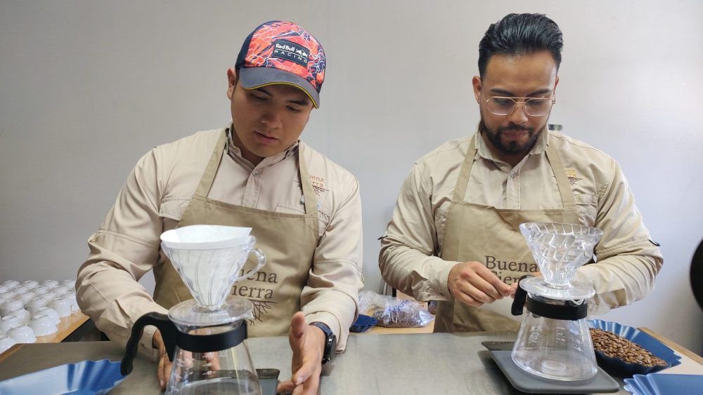 En el día internacional del café, te contamos como llega a tu taza