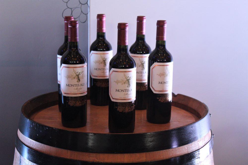 ProChile promueve nuevas cepas, cepas tradicionales y las mejores viñas chilenas en VinExpo 2022