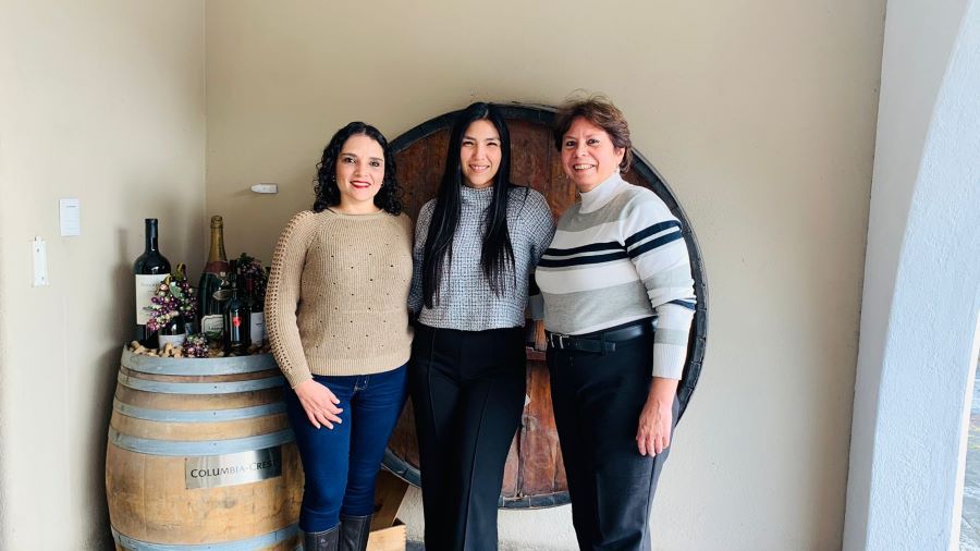 Conozcamos algunos vinos chilenos listos para acompañar el tamal o la pierna horneada
