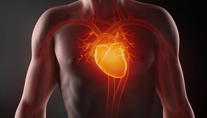 Diagnosticar a tiempo es importante para tratar la insuficiencia cardíaca