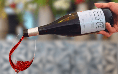 Corchos celebra su 20vo. Aniversario con el Vendimia Fest,  la primera feria internacional de vinos en Guatemala