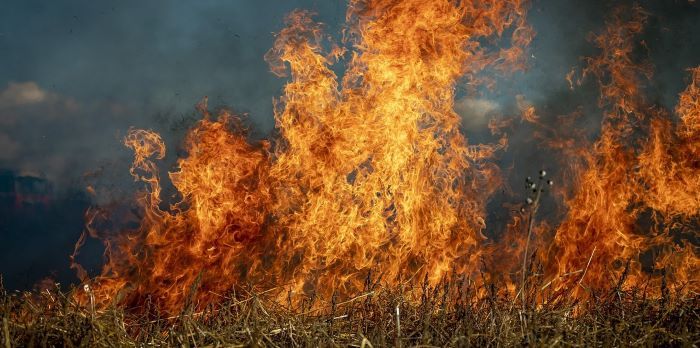 El incremento de los incendios forestales es un desafío ambiental