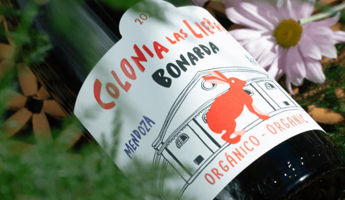 Nuevos vinos de Altos las Hormigas llegan a Guatemala