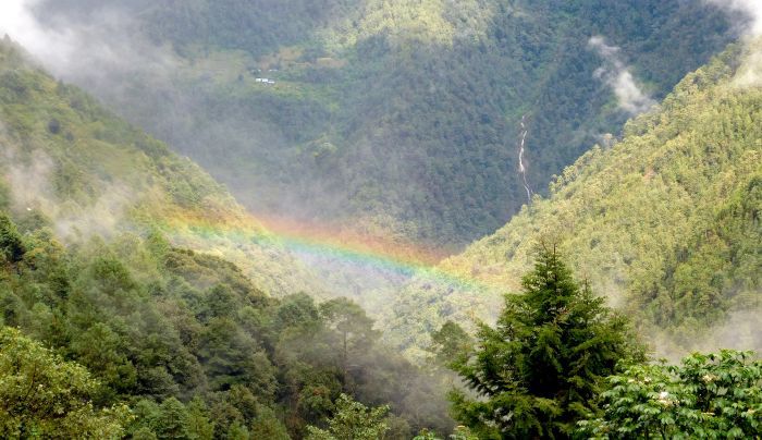 Hoy se celebra el Día Internacional de la Madre Tierra
