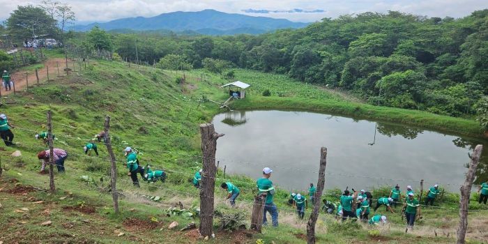 GrandBay Painsa Centroamérica impulsan el compromiso ambiental