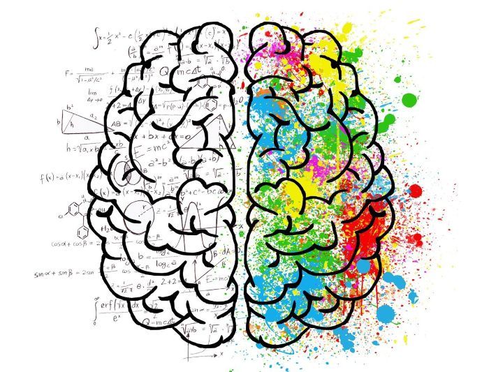Hoy se celebra el día Mundial del Cerebro