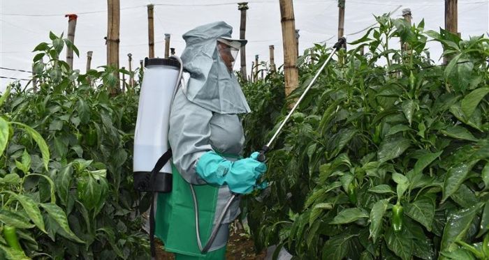 Foragro innova con una herramienta ergonómica diseñada para la mujer agricultora