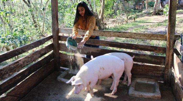 Construir resiliencia hoy para tener seguridad alimentaria mañana en Centroamérica