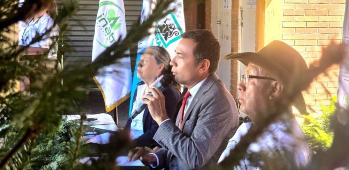 Comienza la Navidad con las Ferias del Pinabete 2025