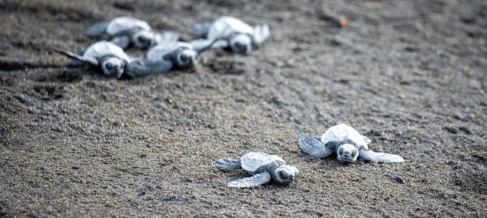 Vacaciones conscientes, es el turismo que está ganando terreno en Guatemala