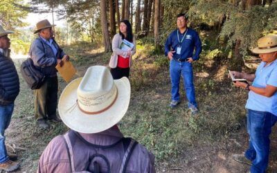 El Inab cumple 29 años promoviendo la conservación forestal
