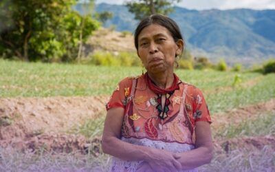 Mujeres con historias de resiliencia y empoderamiento que inspiran