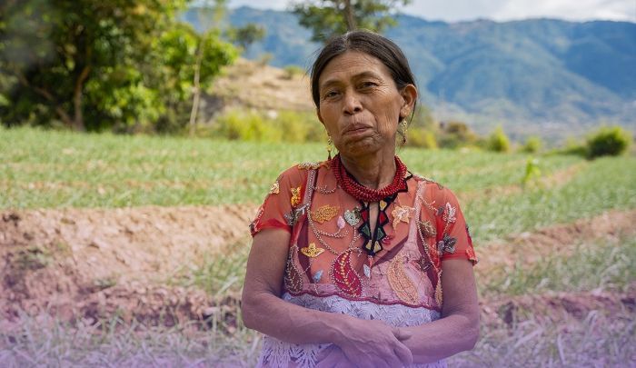 Mujeres con historias de resiliencia y empoderamiento que inspiran