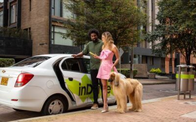 ¿Plan con tu mascota? te contamos como puedes moverte y resolver imprevistos