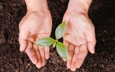 Coca-Cola FEMSA Guatemala devuelve a la naturaleza más del 100 % del agua utilizada en sus operaciones