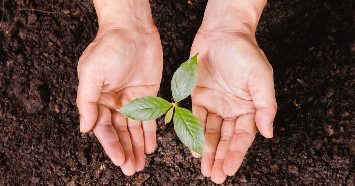 Coca-Cola FEMSA Guatemala devuelve a la naturaleza más del 100 % del agua utilizada en sus operaciones