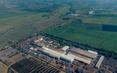 Hoy se celebra el Día Mundial del Medio Ambiente