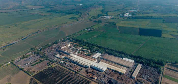 Hoy se celebra el Día Mundial del Medio Ambiente