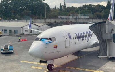 Wingo línea aeréa lanza nueva ruta Medellín–Guatemala