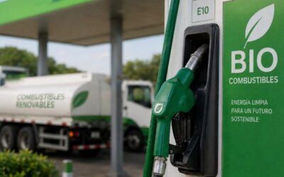 Expertos internacionales afirman que la Gasolina E10 contribuye a estabilizar la volatilidad del precio mundial de los combustibles