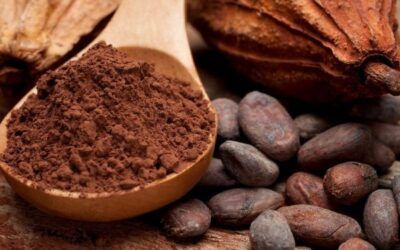 Chocolate y salud conoce los mitos y verdades que todo amante del chocolate debe saber