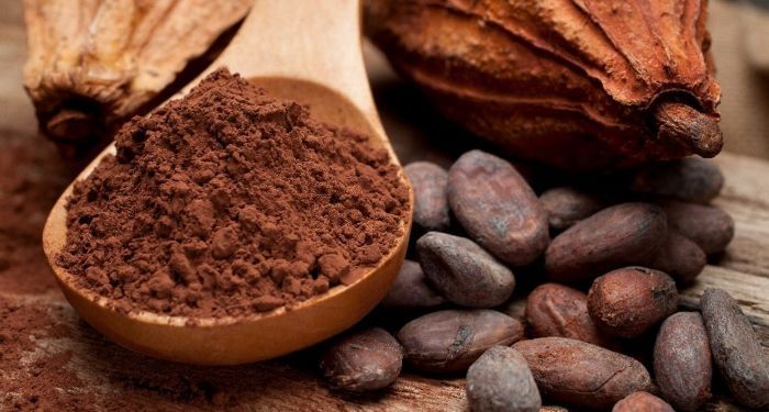Chocolate y salud conoce los mitos y verdades que todo amante del chocolate debe saber