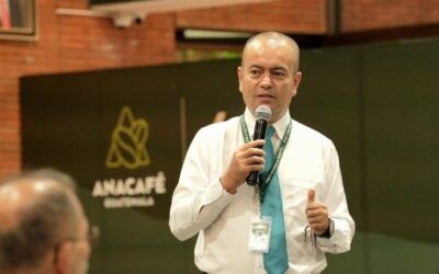 INAB promueve proyectos forestales en su programa «Probosque»