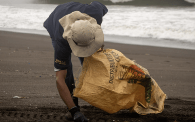Oceana Resort está ayudando a proteger la Costa Sur