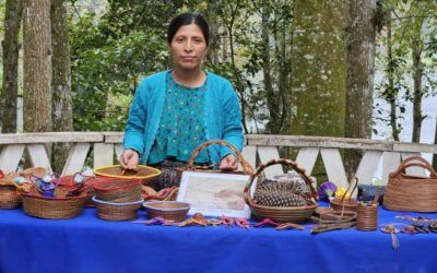 Un grupo de mujeres convierten los bosques en desarrollo para sus comunidades