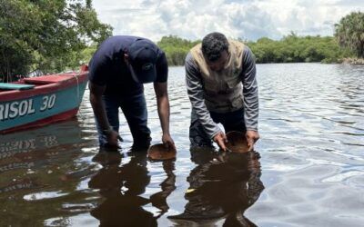 Centro de Conservación Marina fortalece acciones para la conservación de la machorra