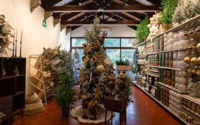 Conoce “Novex Christmas Shop”, una Tienda pop-up navideña en Zona 14