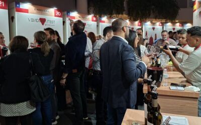 El Vendimia Fest reunió a más de 300 personas alrededor del vino