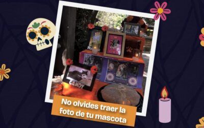 El Zoológico La Aurora celebra estas fechas con un homenaje a los animales cuyo recuerdos siguen vivos