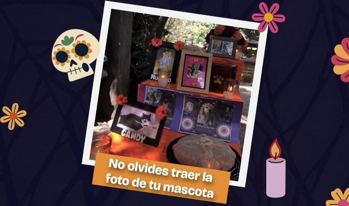 El Zoológico La Aurora celebra estas fechas con un homenaje a los animales cuyo recuerdos siguen vivos